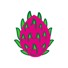 fruit icon vector symbol isolated illustration white background