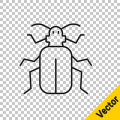 Black line Chafer beetle icon isolated on transparent background. Vector.