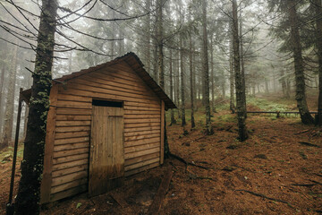 A house with trees in the background