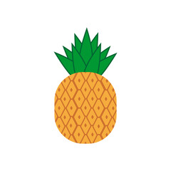 fruit icon vector symbol isolated illustration white background
