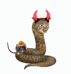 The beige cat snake is wearing red devil horns for Halloween. A black rat in a pumpkin hat is next to it. White background. Isolated.