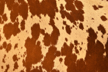 cow skin texture background, cow leather with fur background