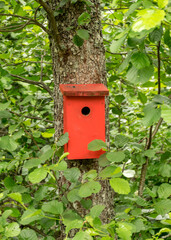 photo with red bird cage in green trees, summer