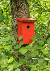 photo with red bird cage in green trees, summer