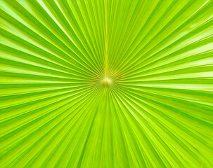 Obraz premium Beautiful design on the Green Leaf
