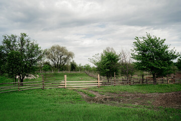 farm animals enclosure in summer