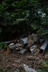 Rusted metal poles left in a bush AM