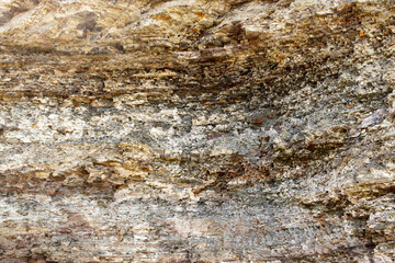 The beautiful rocky wall as a background. The Carpathian mountains.