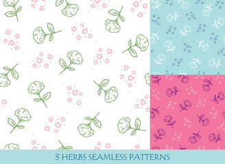 Hydrangea seamless patterns set for packaging design templates and textile. Hand drawn vector illustration.