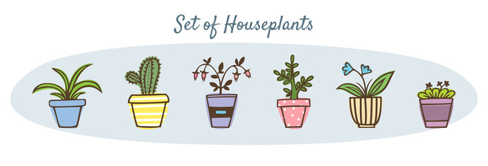Set of potted plants. Collection of indoor plants. Hand drawn vector illustration.