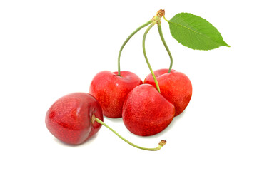 Berries of sweet cherry with leaf isolated on a white background