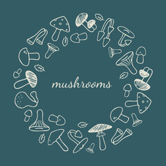 Collection of edible and inedible mushrooms in a circle. Vector hand-drawn illustration.