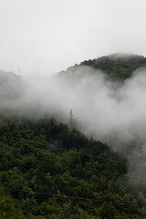 Power lines inside a forest on a mountain with fog AM