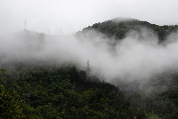 Power lines inside a forest on a mountain with fog AM