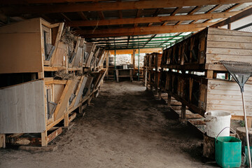 view of rabbit cages in an eco farm