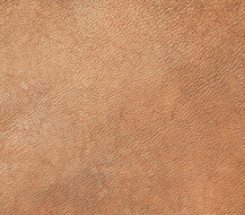 Natural leather structure material abstract texture background