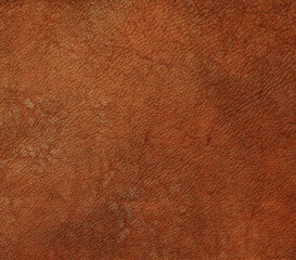 Fototapeta premium Natural leather structure material abstract texture background