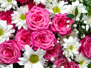 Beautiful pink roses and white daisies close-up, floral background.