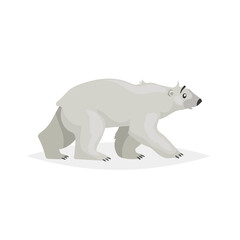 Cute walking polar bear. Polar animal cartoon illustration. Flat style design. Best for kid education. Vector drawing isolated on white background.