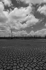Earth ground crack with dust and rough dry surface texture ,Drought land lack of water. Global warming and greenhouse effect concept.
