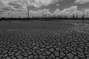 Earth ground crack with dust and rough dry surface texture ,Drought land lack of water. Global warming and greenhouse effect concept.