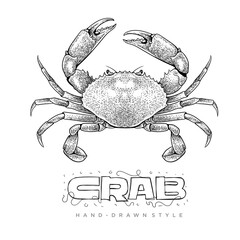 crab vector in hand drawn style. realistic animal illustrations