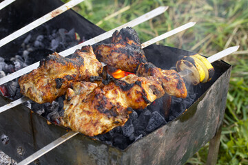 Chicken shish kebab on the grill. You can see the fried chicken meat, the grill and the embers and...