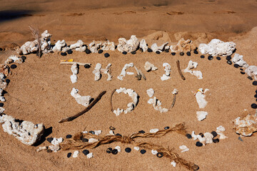 Fototapeta na wymiar ハワイのビーチに珊瑚で描かれた「Thank you!」