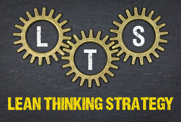 LTS Lean Thinking Strategy