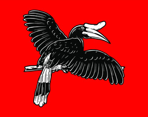 vector illustration of hornbills bird