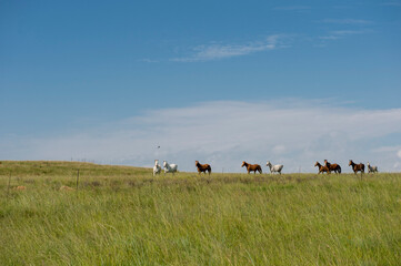 A farm where people hike in the Free State in South Africa