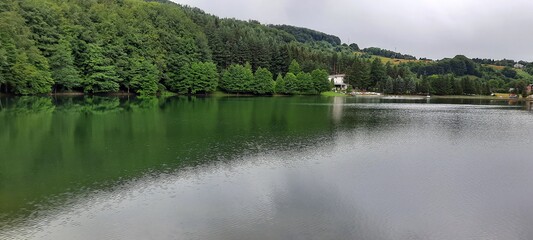 Fototapeta premium lake and forest