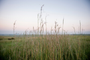 Obraz premium A farm where people hike in the Free State in South Africa