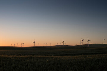 Fototapeta na wymiar A wind farm during sunset. Turbines generating electricity. Green energy