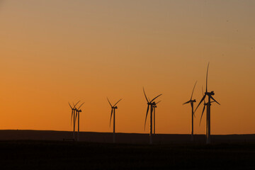 A wind farm during sunset. Turbines generating electricity. Green energy