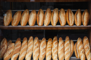 Lots of bread on the store window in Istanbul bakery.