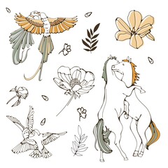 Paradise birds set vector illustration. Collection of design elements