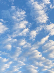 Naklejka na ściany i meble Blue sky clouds after the rain