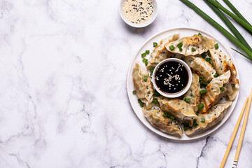 Fried dumplings Gyoza on a plate on a light marble background