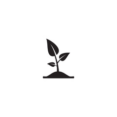 plant and leaves icon with white background