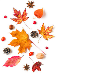 Autumn composition made of autumn leaves, flowers, nuts, berries isolated on white background. Flat lay, top view