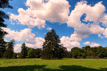 Wide-angle nature landscape view of Large Lawn with trees against blu sky. It is one of the most famous places in the Arboretum Alexandria in Bila Tserkva, Ukraine. Concept of landscape and nature - obrazy, fototapety, plakaty