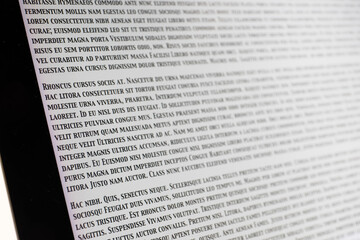 Lorem Ipsum text on a computer screen, a placeholder for text often used to demonstrate the visual form of a document or font in publication and graphic design