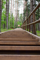 Little lonely boy child walks in park or pine forest and climbing long wooden stairs, back view. Children outdoor activities, healthy lifestyle concept.
