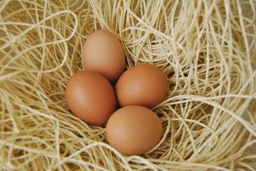 Brown eggs