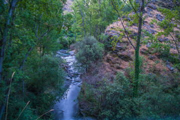 krajobraz rzeka las woda drzewa kamienie liście trawa lato natura 