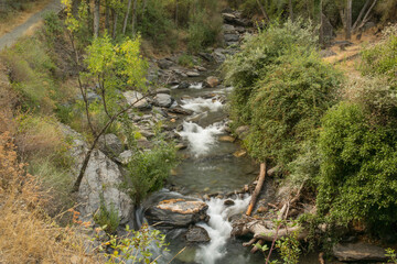 krajobraz rzeka las woda drzewa kamienie liście trawa lato natura 