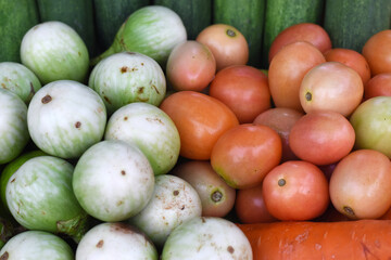 Soft focus Sida Tomato and Eggplant It is raw materials to cook Isaan food of Thailand.