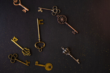 Many different old keys from different locks. Finding the right key, encryption, concept.