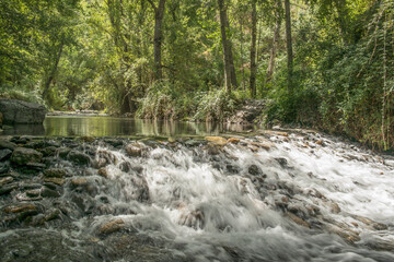 rzeka kamienie drzewa liście woda lato natura zieleń © Katarzyna